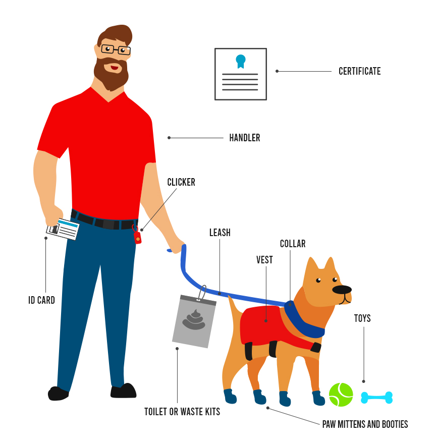 Service dog registration infographic.