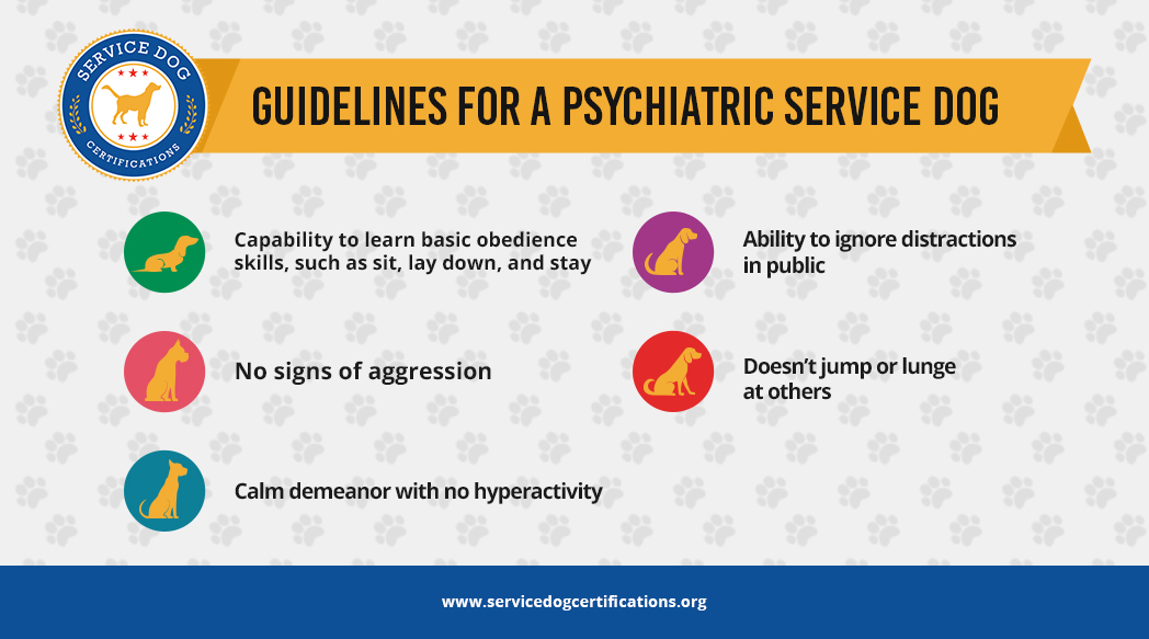 Guidelines for a Psychiatric Service Dog