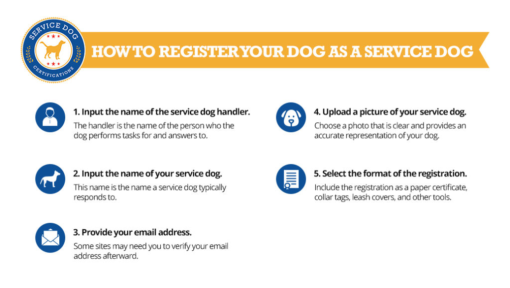 How to register your dog as a service dog (infographic) - Service Dog Registration