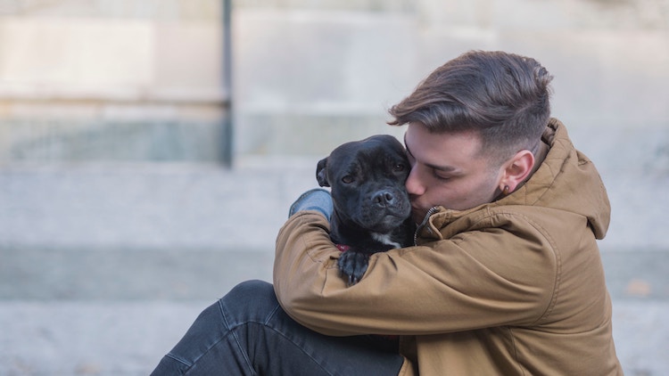 Man kissing his service dog.