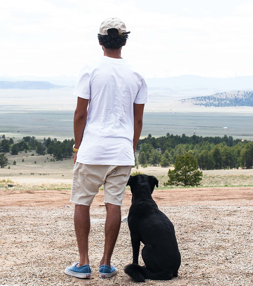 Colorado Service Dog Requirements