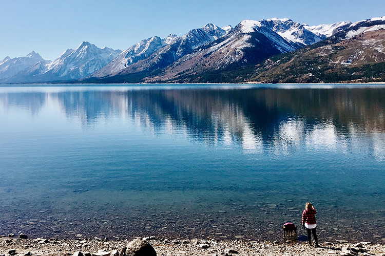 With a little preparation you can visit any national park with your service dog, like Grand Teton National Park in Wyoming. - ServiceDogCertifications