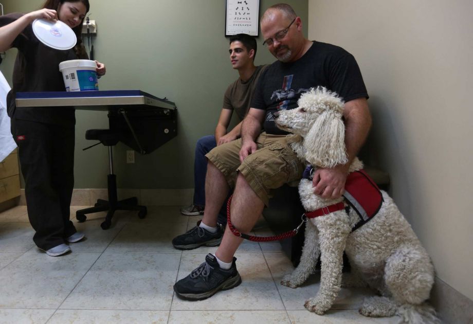 A service dog and its handler at the veterinarian.