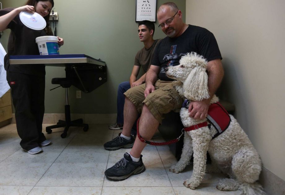 Service dogs at the vets office