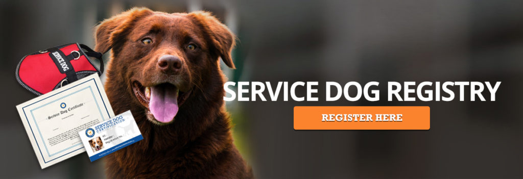 service dog registration