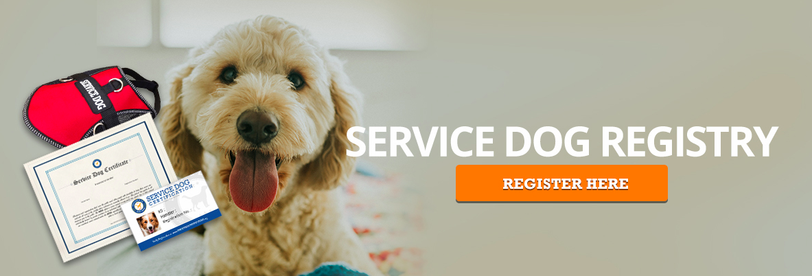 Register Service Dog Banner