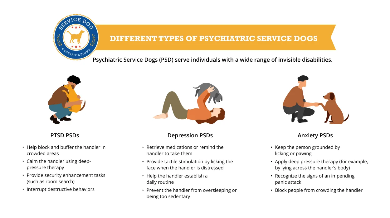 Different Types of PSDs (infographic) - Service Dog Certifications