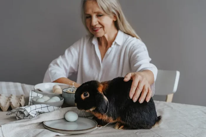 Senior petting her emotional support rabbit living in a assisted care living facility