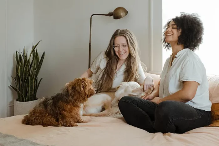 Service dog at home with their handlers.